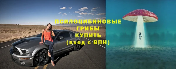 apvp Лиски