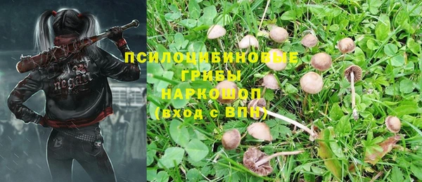 apvp Лиски