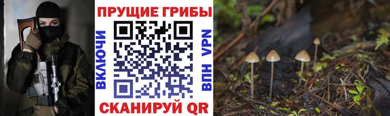 Псилоцибиновые грибы мицелий  Купить  Нефтегорск 